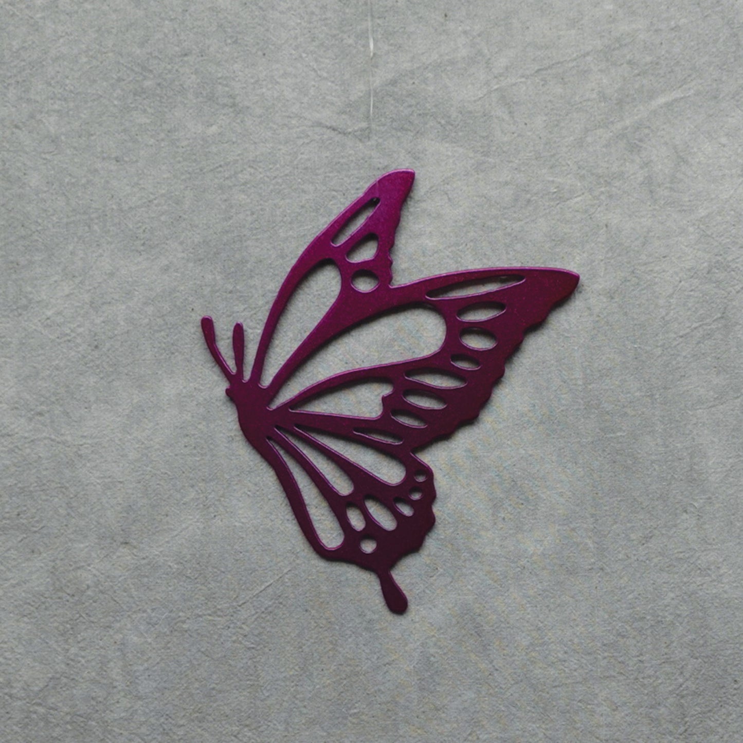 Small Butterfly